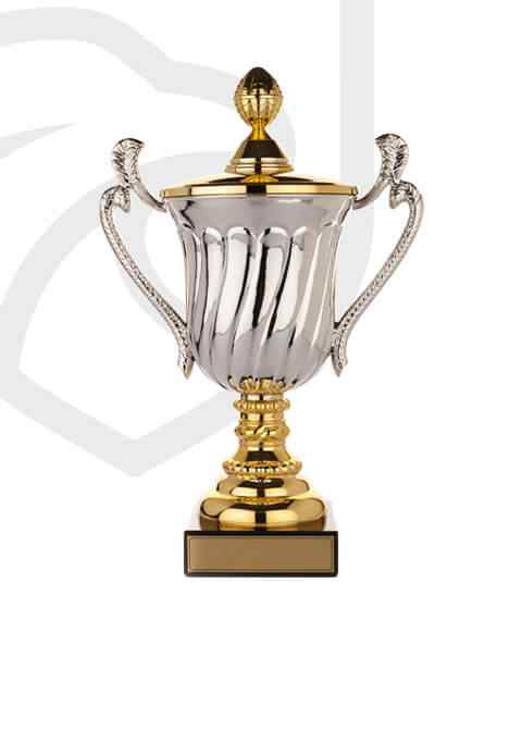 https://medesports.com/wp-content/uploads/2022/11/trophy_overlay_02.jpg